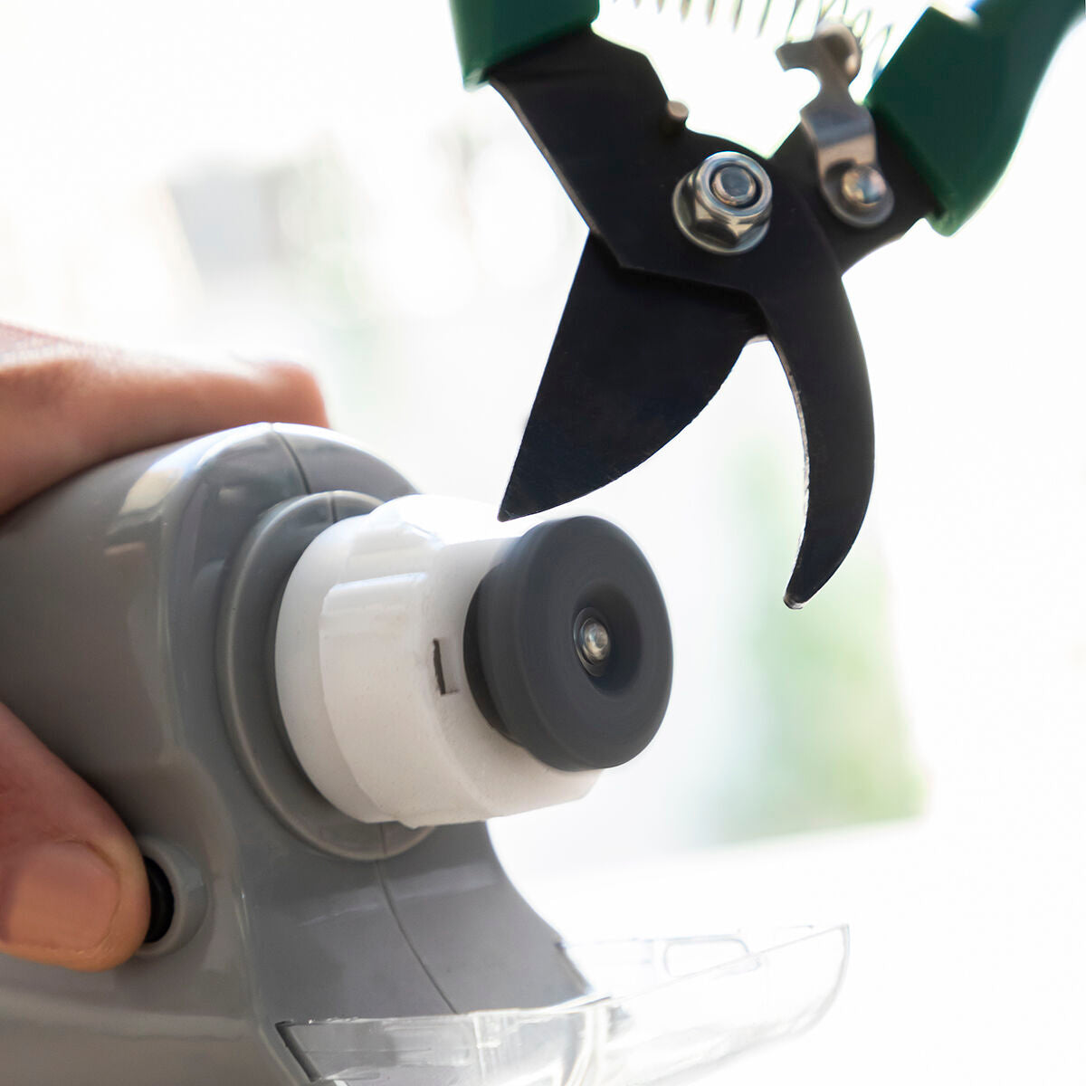 V14HCCE91DA1FD7936FECBA8DD6BD7581FA1R5264772P6