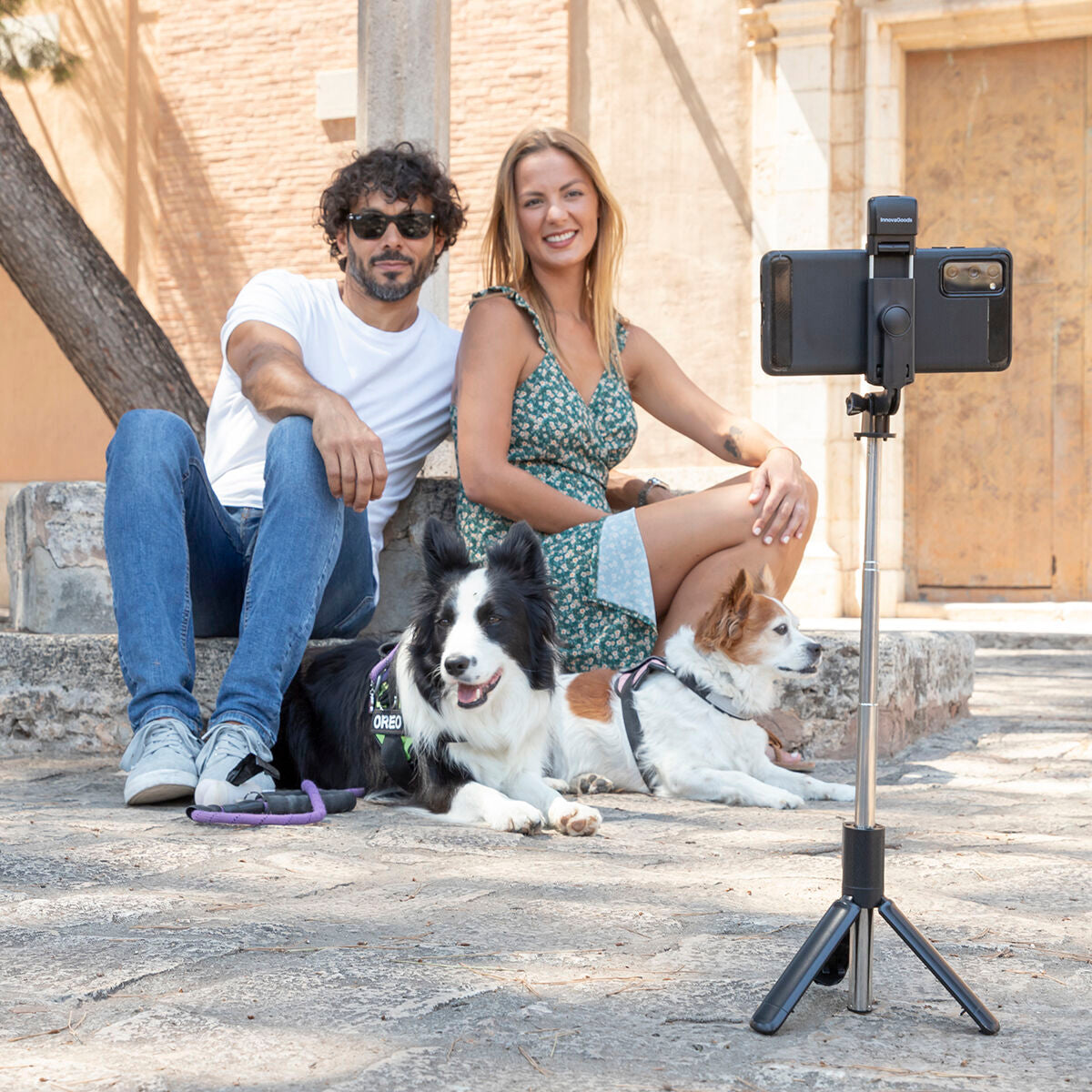 V14H8BEABC249C04E75B622B6097BB6730B9R5435119P3